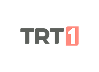 TRT 1